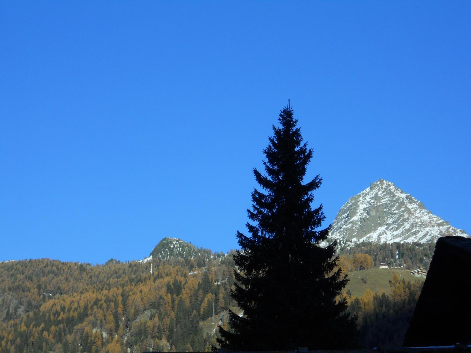 Affittacamere Petit Coeur Champoluc Exterior foto